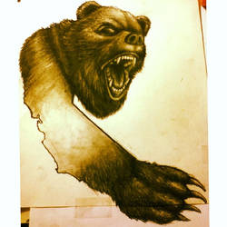 California Right to BEAR ARM