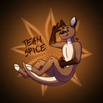 [OC] Team Spice