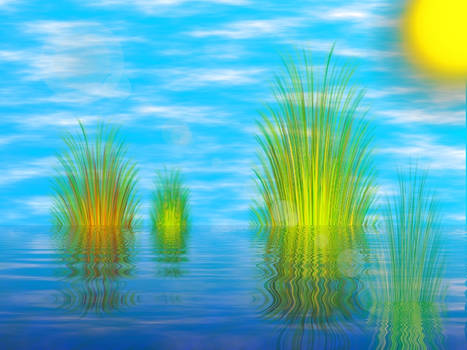 Water Reeds