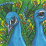 Pair of Peacocks - 2008