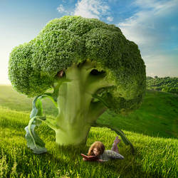 Brocolli Tree