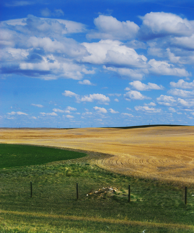 Driving To Alberta