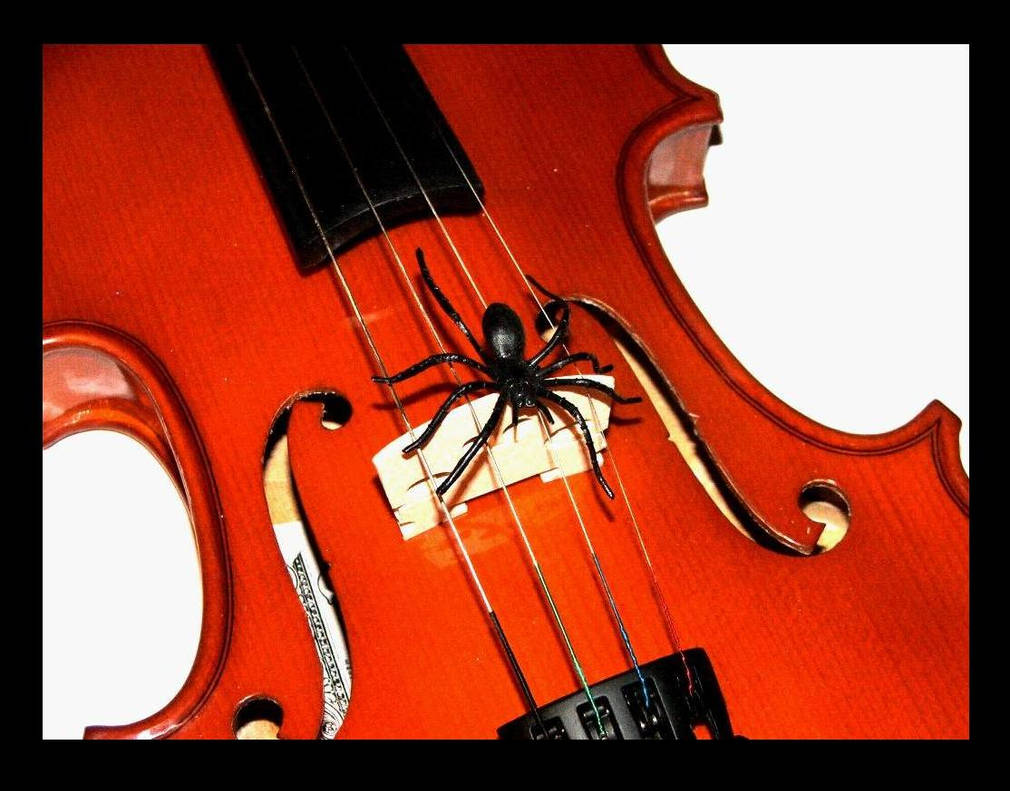 Spider String Instrument musical Spider by BloodyRegret17 on DeviantArt