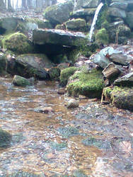 The Spring and Rocks