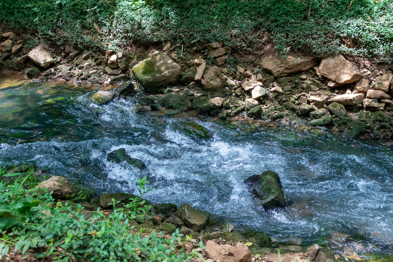 Rushing Waters I by CanidaeVulpes on DeviantArt