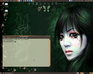 My Desktop II