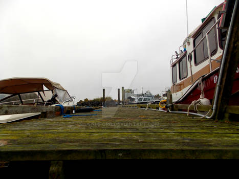 Along the Dock