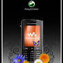 SONY ERICSSON W960I