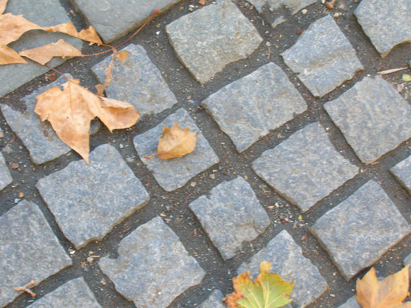 leaves on a cobbled street