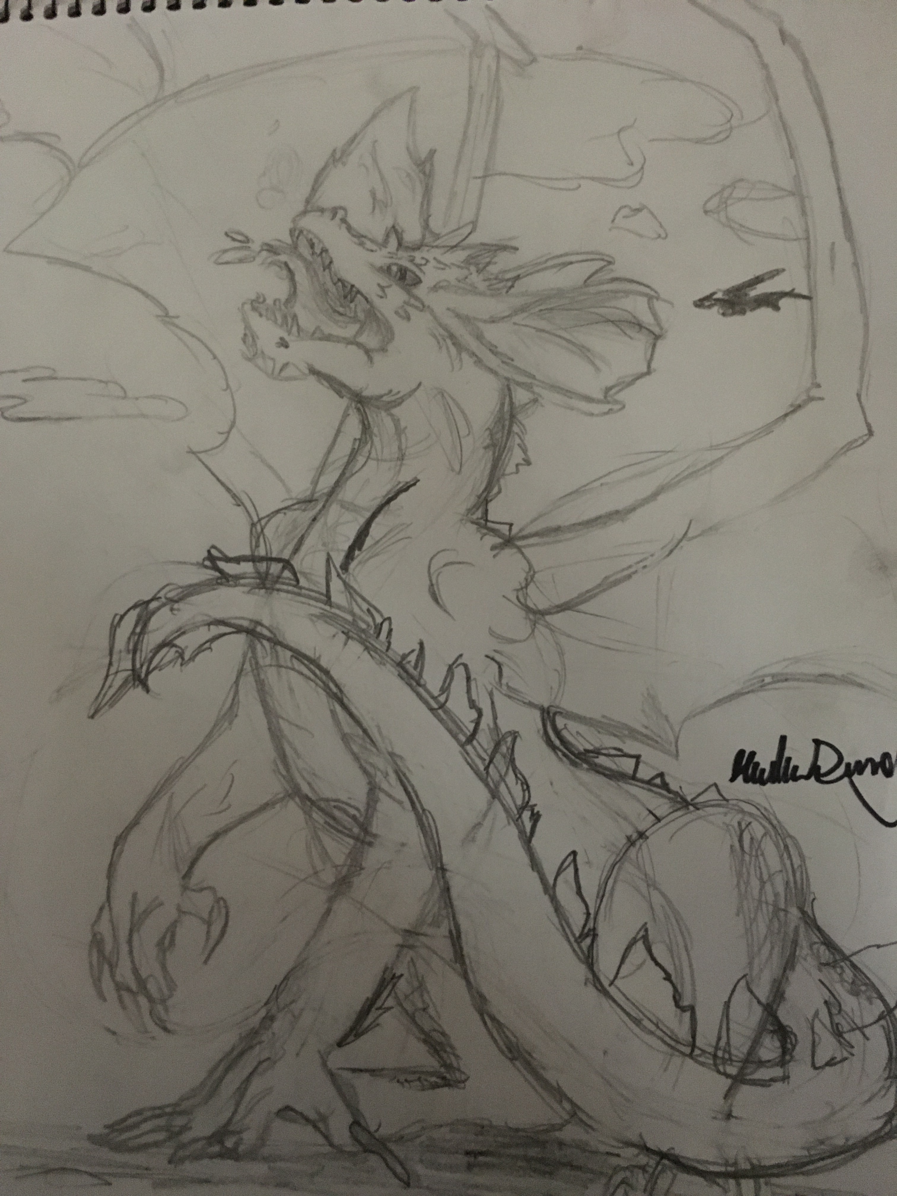 Blue Dragon Sketch