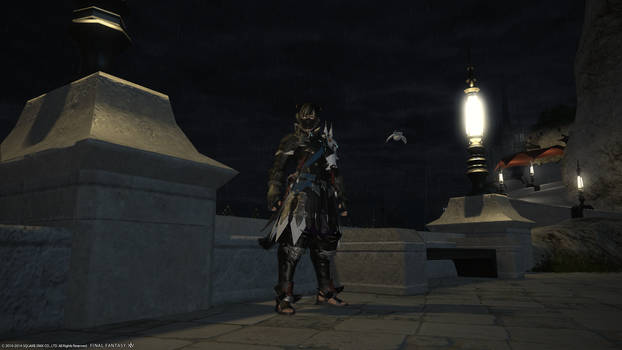 Ffxiv 11282014 150628