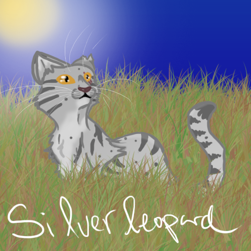 Silverleopard