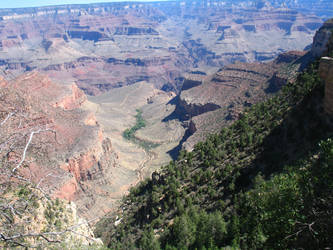 The View From the Trail