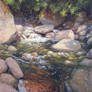 Mountain Stream