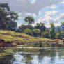 Cows in the Creek
