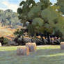 Haybales