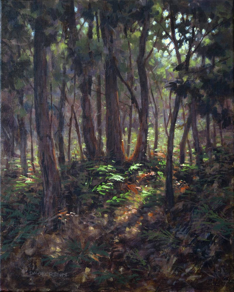 Bush Clearing by postapocalypsia