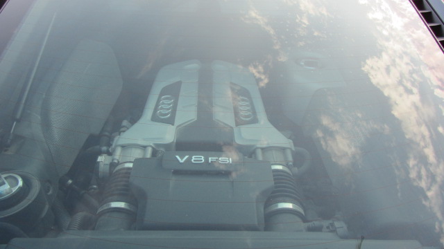 V8