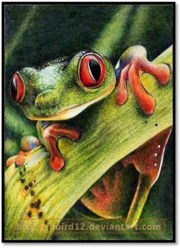 Frogface ATC