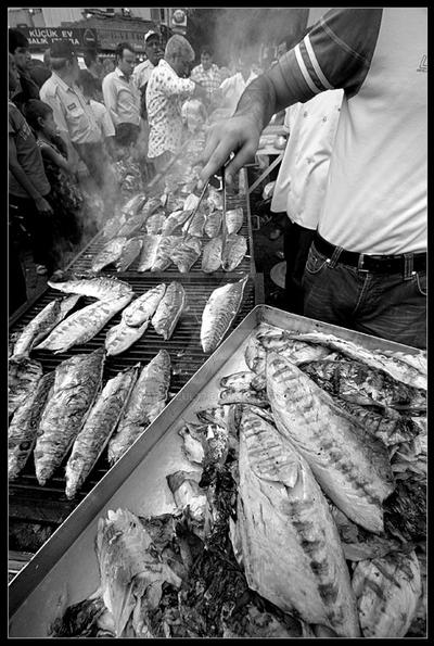 .the fish festival.