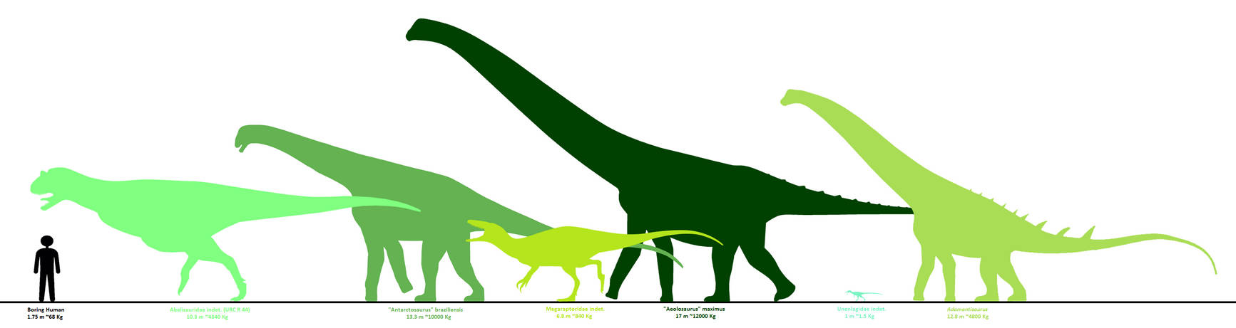 Adamantina Formation Chart 1.0