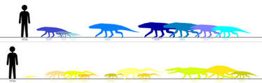 Adamantina Formation Chart 2.0