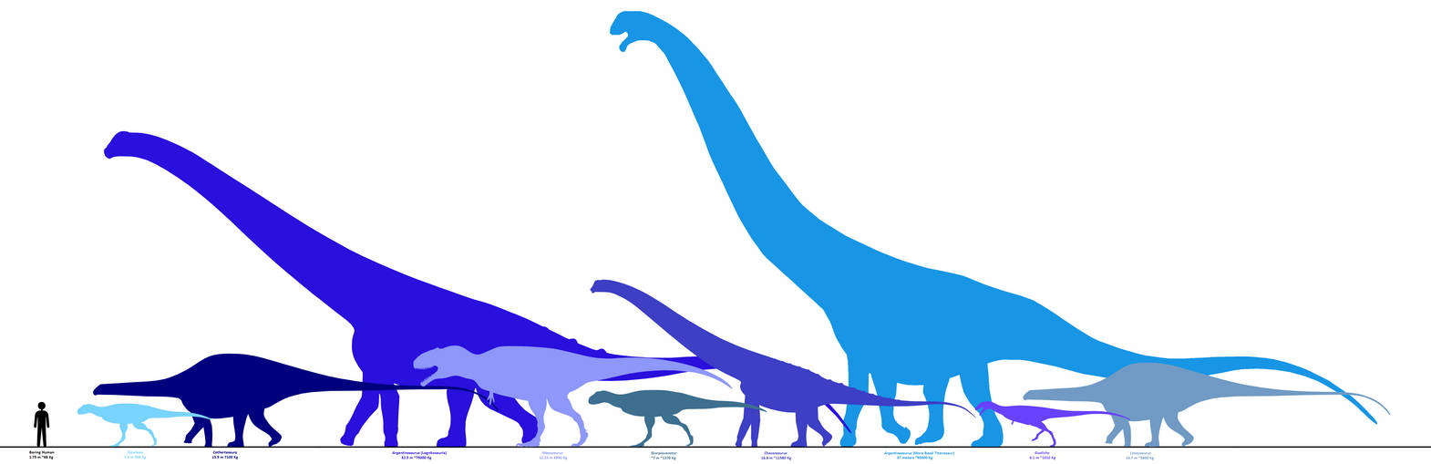 Huincul Chart by AndreOFGallery on DeviantArt