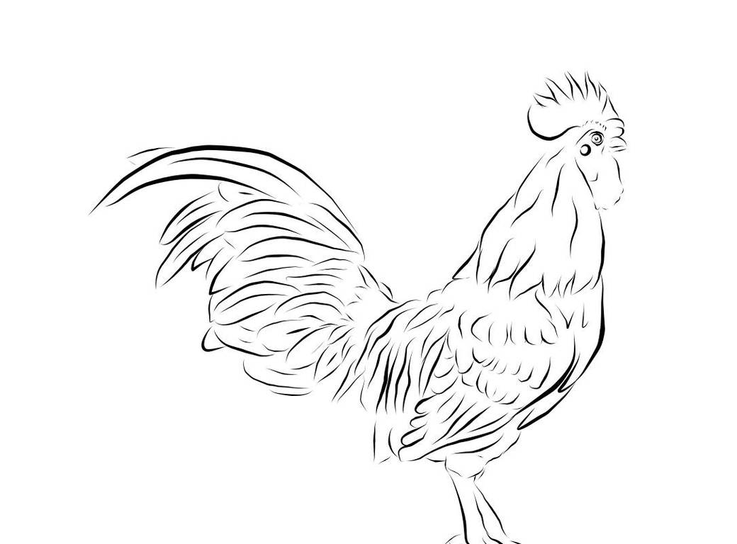 Rooster vector line art by StudioMasaha on DeviantArt
