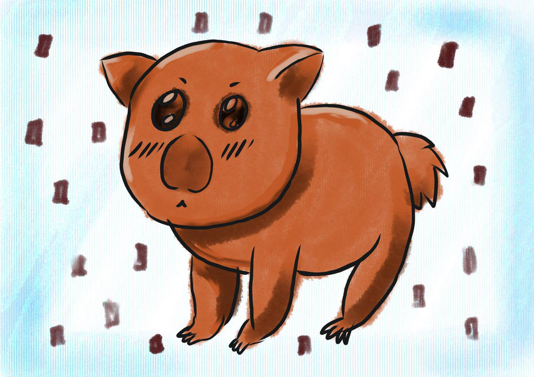 Cute wombat cartoon by StudioMasha on DeviantArt