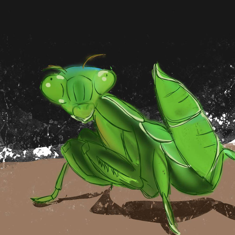 Mantis Digimon Praying mantis by StudioMasha on DeviantArt
