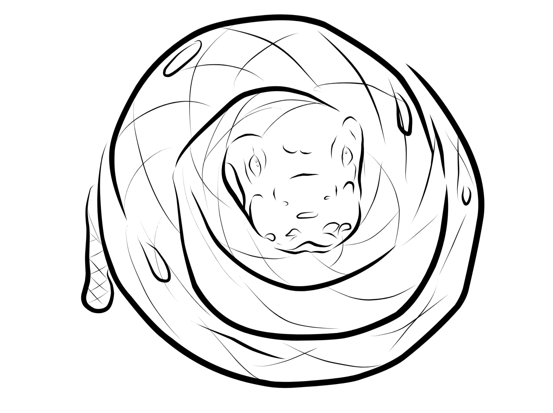 Python Snake Thick Outline Python lineart by StudioMasha on DeviantArt