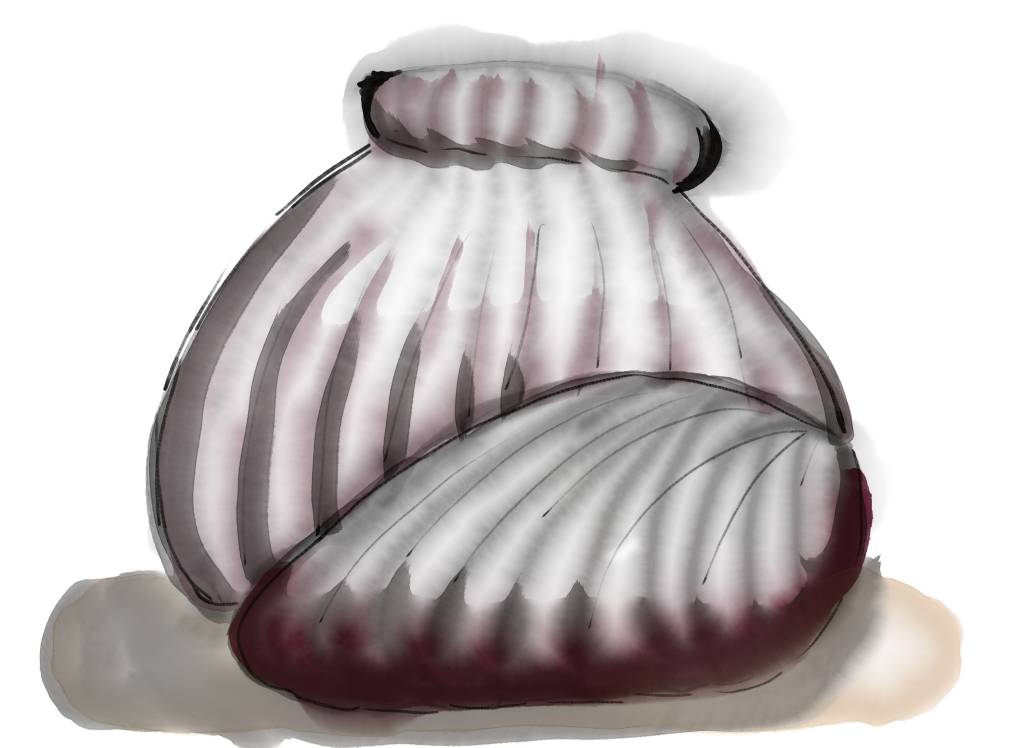 Sea shells by StudioMasha on DeviantArt