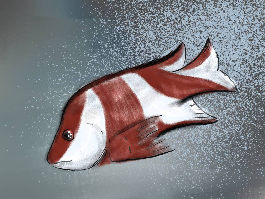 Emperer Snapper Emperor snapper by StudioMasha on DeviantArt
