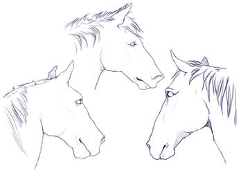 Horses sketch