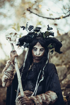 Forest witch with skull stock