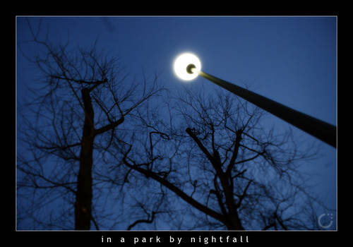 in.a.park.by.nightfall