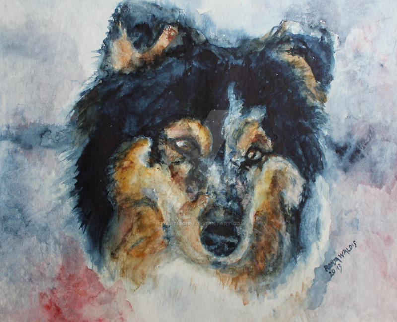 Portrait of a Dog 4