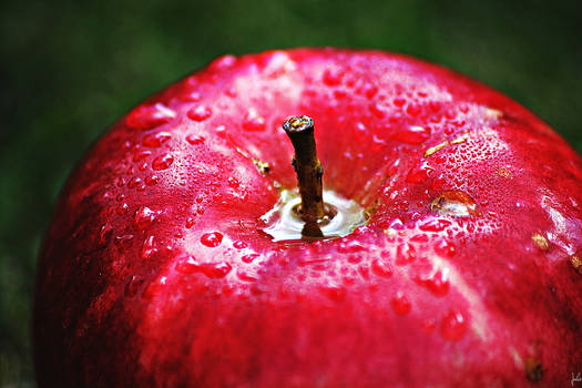 Wet apple in macro.