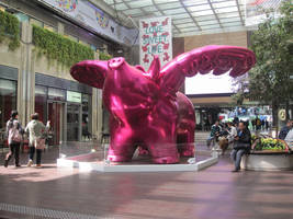 Flying Pig