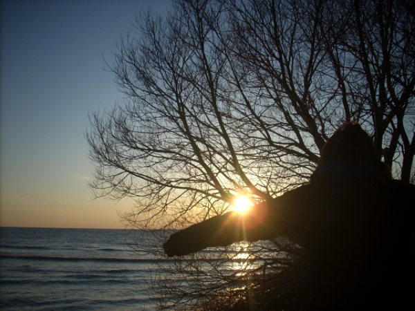 Hug the Sun by FireFlyBliss91 on DeviantArt