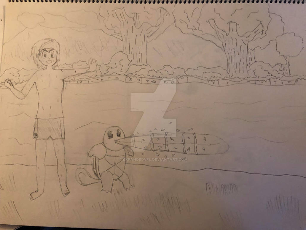 Wild Pokemon Encounter by ExpandedVFL on DeviantArt
