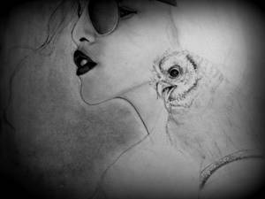 The Girl And The Owl