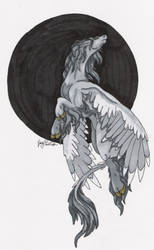 Grey Pegasus