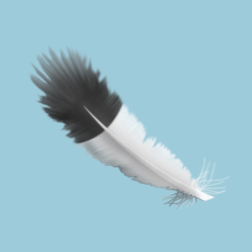 Feather 3D looking + shading
