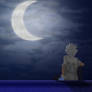 Blue Motion flipped moon END