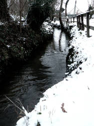 Snowy river