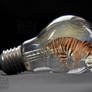 Tiger in the light bulb2