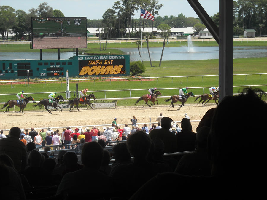 Day at tha races by yobobjoe on DeviantArt