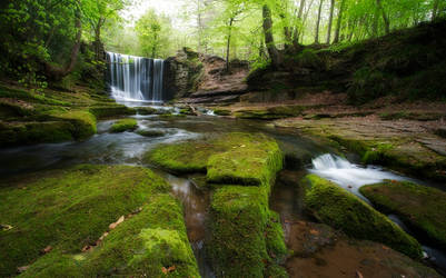 Mossy River