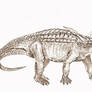 Desmatosuchus